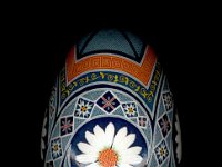 Daisies Ukrainian Easter Egg Pysanky By So Jeo : PYsanky pysanka ukrainian easter egg batik art sojeo flower florals daisy daisies blue orange white