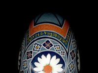 Daisies Ukrainian Easter Egg Pysanky By So Jeo : PYsanky pysanka ukrainian easter egg batik art sojeo flower florals daisy daisies blue orange white
