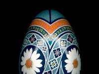 Daisies Ukrainian Easter Egg Pysanky By So Jeo : PYsanky pysanka ukrainian easter egg batik art sojeo flower florals daisy daisies blue orange white